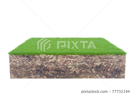 Green grass with soil land geology cross section isolated on white background, 3d render Green grass with soil land geology cross section isolated on white background, 3d render 77732194
