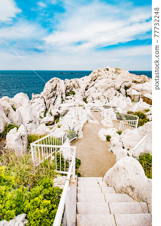 日本愛琴海白崎海洋公園的風景,在和歌山縣日高區由良町可以看到白色的石灰岩海岸和藍色的大海。 日本愛琴海白崎海洋公園的風景,在和歌山縣日高區由良町可以看到白色的石灰岩海岸和藍色的大海。 77732248