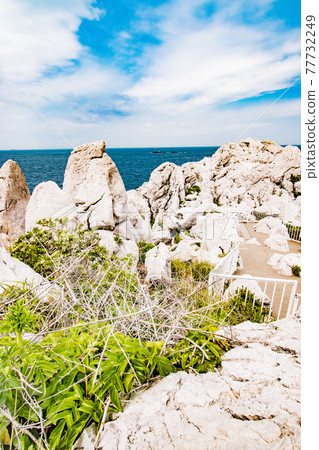 日本愛琴海白崎海洋公園的風景，在和歌山縣日高區由良町可以看到白色的石灰岩海岸和藍色的大海。 77732249