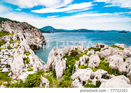 日本愛琴海白崎海洋公園的風景，在和歌山縣日高區由良町可以看到白色的石灰岩海岸和藍色的大海。 77732261