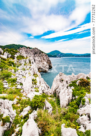 日本愛琴海白崎海洋公園的風景,在和歌山縣日高區由良町可以看到白色的石灰岩海岸和藍色的大海。 日本愛琴海白崎海洋公園的風景,在和歌山縣日高區由良町可以看到白色的石灰岩海岸和藍色的大海。 77732262
