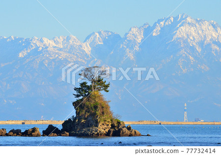 Amaharashi coast overlooking the Tateyama mountain range 77732414
