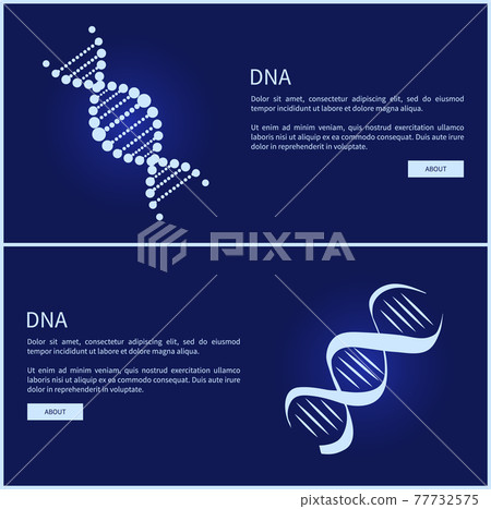 DNA Collection of Web Pages Vector Illustration 77732575