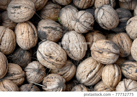 Walnuts Walnuts 77732775