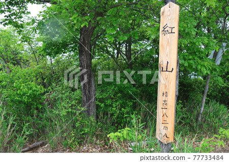 Ono Alps (taken in Hyogo Prefecture) 77733484