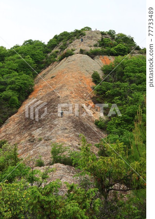 Ono Alps (taken in Hyogo Prefecture) 77733489