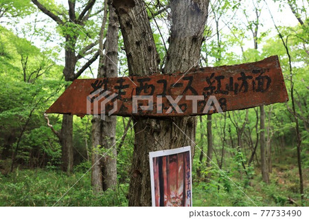 Ono Alps (taken in Hyogo Prefecture) 77733490