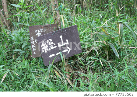 Ono Alps (taken in Hyogo Prefecture) 77733502