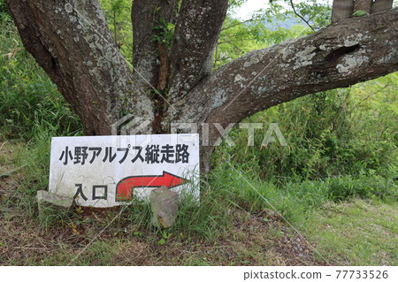 小野阿爾卑斯（拍攝於兵庫縣） 77733526