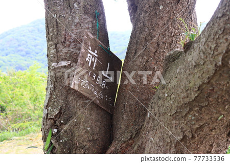 Ono Alps (taken in Hyogo Prefecture) 77733536