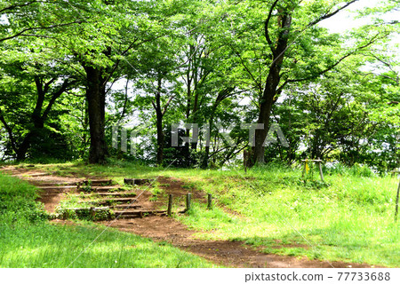 Hirohosan Park hiking 77733688