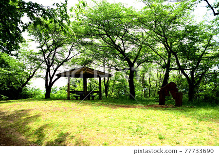 Hirohosan Park徒步旅行 Hirohosan Park徒步旅行 77733690