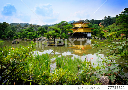 Kinkaku-ji temple in Kyoto, Japan 77733821