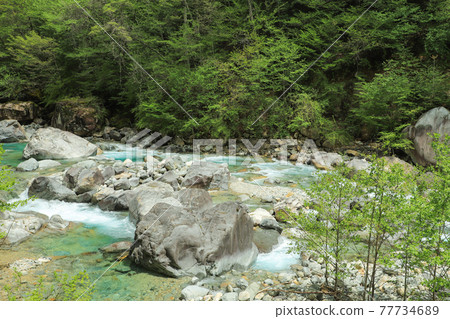 Agana Valley的新鮮綠色 Agana Valley的新鮮綠色 77734689