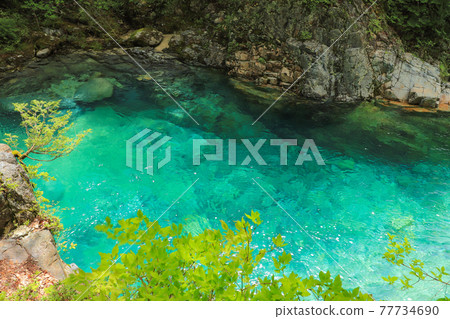 Agana Valley of the fresh green Agana Valley of the fresh green 77734690