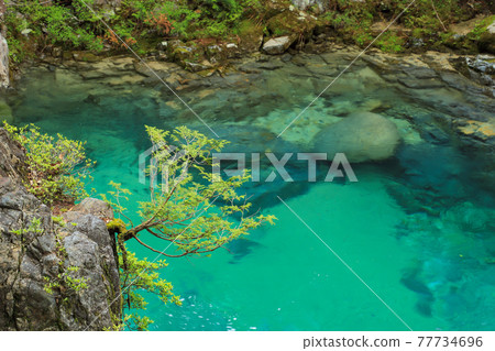 Agana Valley of the fresh green 77734696