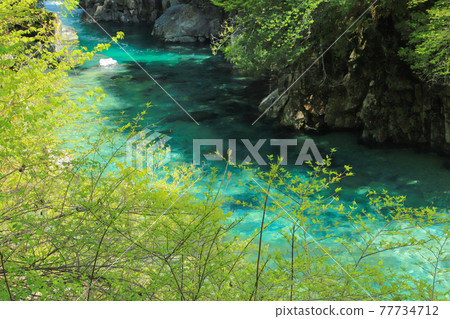 Agana Valley的新鮮綠色 77734712