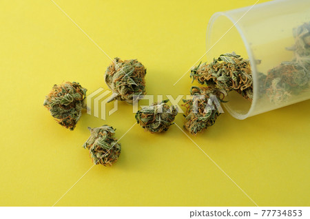 Marijuana micro-dosing concept. Cannabis buds in plastic cup on yellow background. 77734853