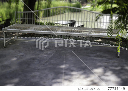 Summer green relaxation of outdoor garden Summer green relaxation of outdoor garden 77735449