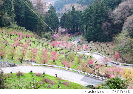 Ouchizawa Hanamomo no Sato 77735758