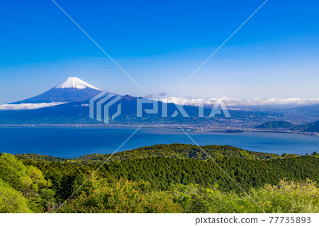 Mt. Fuji in the early morning seen from the Darumayama Kogen Rest House in Izu City, Shizuoka Prefecture 77735893