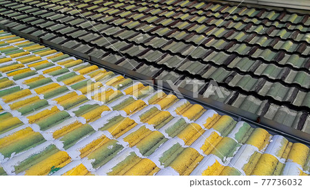 Thailand, Rooftop, Roof Tile, Damaged, Repairing Thailand, Rooftop, Roof Tile, Damaged, Repairing 77736032