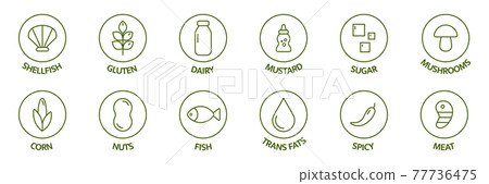 Allergen line icon set. Soybean nut celery, corn, milk, honey spicy, sugar alcohol, gluten mustard, gmo sesame, lactose fish, egg mollusk free. Allergy warning ingredients. Vector illustration 77736475