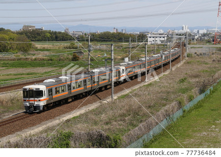 Series 313 300 series train running on the Tokaido Main Line 77736484