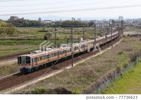 311 series train running on the Tokaido Line 77736623