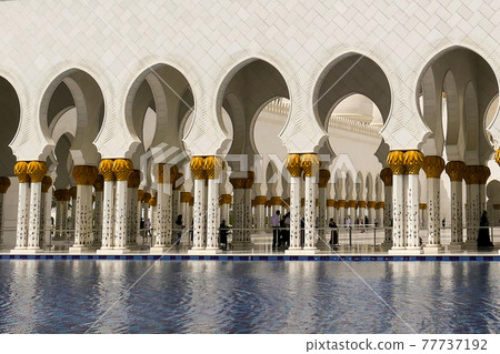 United Arab Emirates, Abu Dhabi, Mosque Sheikh Zayed, column United Arab Emirates, Abu Dhabi, Mosque Sheikh Zayed, column 77737192