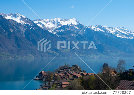 Beautiful Swiss village Iseltwald at lake Brienzersee and snow covered mountains 77738267