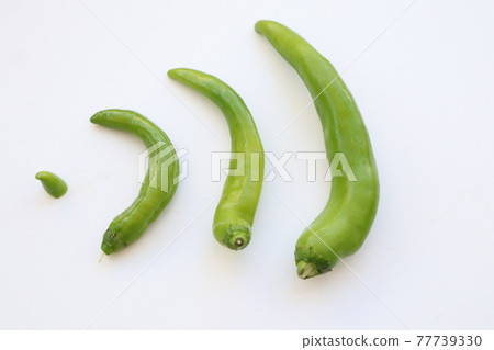 Four very hot spicy green peppers are broadcast on Wifi Four very hot spicy green peppers are broadcast on Wifi 77739330