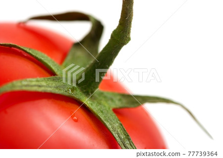 Tomato 77739364