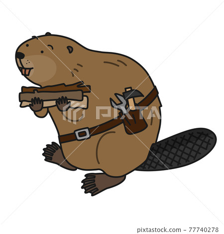 Beaver carrying tree branches with both hands 77740278