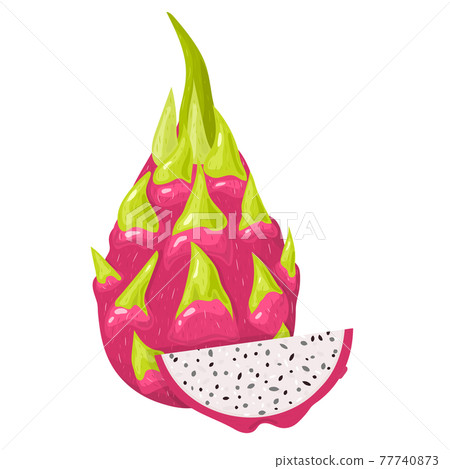 Fresh whole and cut slice red pitaya fruits isolated on white background. Summer fruits for healthy lifestyle. Organic fruit. Cartoon style. Vector illustration for any design. Fresh whole and cut slice red pitaya fruits isolated on white background. Summer fruits for healthy lifestyle. Organic fruit. Cartoon style. Vector illustration for any design. 77740873