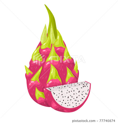 Fresh whole and cut slice red pitaya fruits isolated on white background. Summer fruits for healthy lifestyle. Organic fruit. Cartoon style. Vector illustration for any design. Fresh whole and cut slice red pitaya fruits isolated on white background. Summer fruits for healthy lifestyle. Organic fruit. Cartoon style. Vector illustration for any design. 77740874