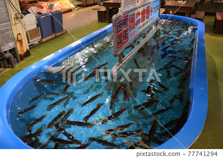 函館市場的魷魚 函館市場的魷魚 77741294
