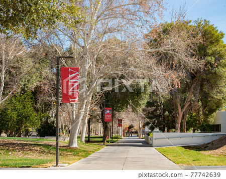 Afternoon view of the campus of UNLV Afternoon view of the campus of UNLV 77742639