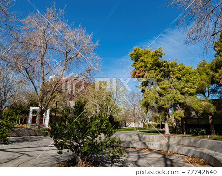 Afternoon view of the campus of UNLV 77742640
