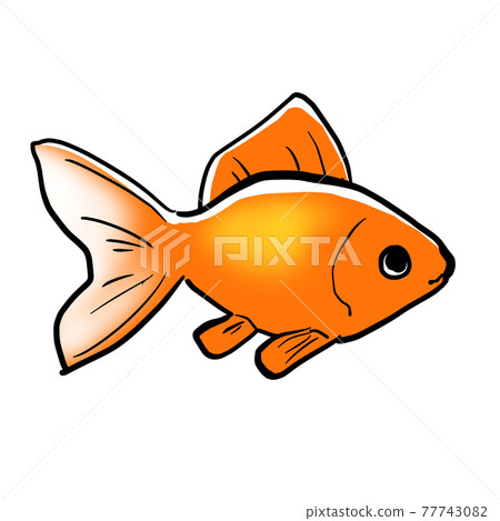 現實的金魚圖 77743082