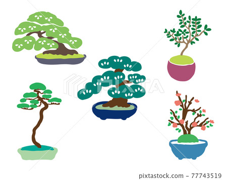 Bonsai cute illustration set Bonsai cute illustration set 77743519