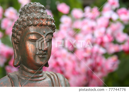 Buddha Statue in Outdoor Garden With Blurred Background Buddha Statue in Outdoor Garden With Blurred Background 77744776