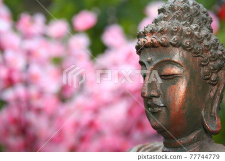 Buddha Statue in Outdoor Garden With Blurred Background Buddha Statue in Outdoor Garden With Blurred Background 77744779