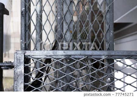 Image of iron scaffolding at construction site 77745271