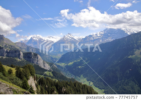 Wetterhorn, Schreckhorn, Eiger (Switzerland) as seen from Schynige Platte Wetterhorn, Schreckhorn, Eiger (Switzerland) as seen from Schynige Platte 77745757