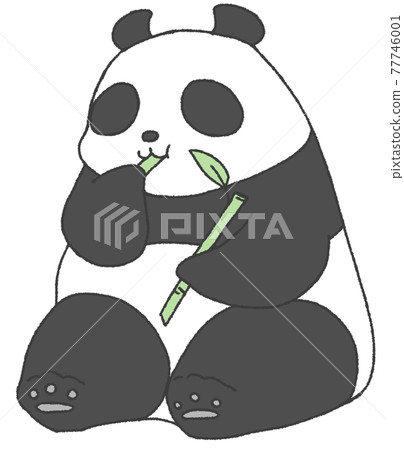 A panda sitting and eating sasa 77746001