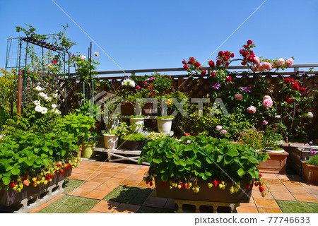 Spring gardening: The roof balcony is covered with tiles for the balcony, and the outside is used as a living room. Strawberries and hunting are also possible. Spring gardening: The roof balcony is covered with tiles for the balcony, and the outside is used as a living room. Strawberries and hunting are also possible. 77746633