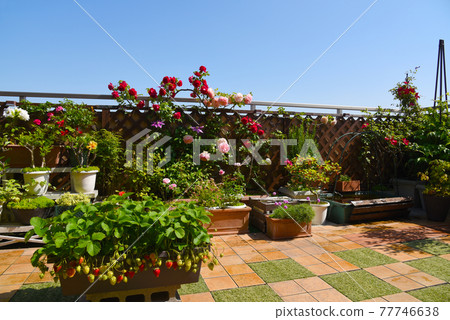Spring gardening: The roof balcony is covered with tiles for the balcony, and the outside is used as a living room. Strawberries and hunting are also possible. Spring gardening: The roof balcony is covered with tiles for the balcony, and the outside is used as a living room. Strawberries and hunting are also possible. 77746638