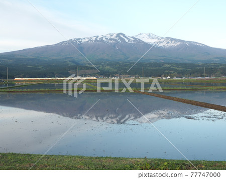 Paddy fields in Yuza Town, Yamagata Prefecture (Mt. Chokai and Uetsu Main Line) 77747000