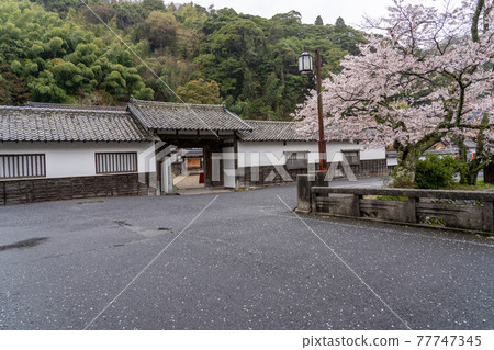 Oda City, Shimane Prefecture, the site of the Omori Daikansho, the Iwami Ginzan Museum in the rain 77747345